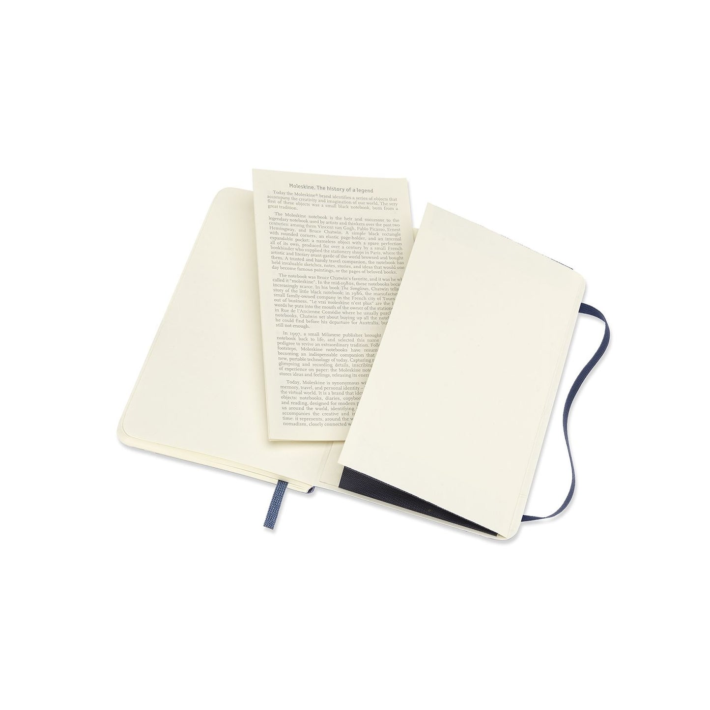 Moleskine Classic Notebook, XLARGE Myrtle Green, Plain, SOFT Cover (6 units/bundle)